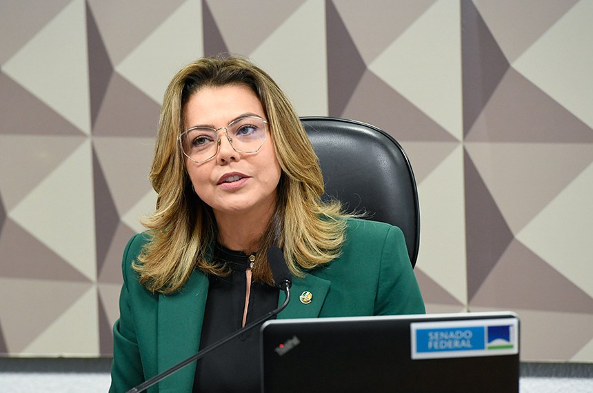 À mesa, presidente eventual da CDH, senadora Leila Barros (PDT-DF), conduz audiência.