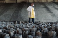 Congresso derruba veto de Bolsonaro à Lei Padre Júlio Lancellotti