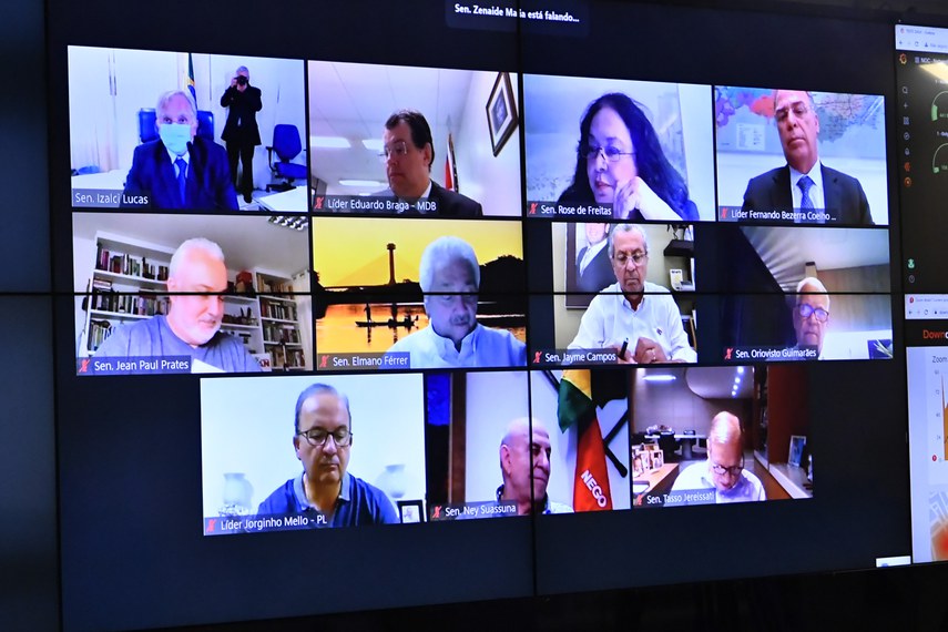 Participam via videoconferência:
senador Izalci Lucas (PSDB-DF); 
senador Eduardo Braga (MDB-AM); 
senadora Rose de Freitas (Podemos-ES); 
senador Fernando Bezerra Coelho (MDB-PE); 
senador Jean Paul Prates (PT-RN); 
senador Elmano Férrer (Podemos-PI); 
senador Jayme Campos (DEM-MT); 
senador Oriovisto Guimarães (Podemos-PR); 
senador Jorginho Mello (PL-SC); 
senador Ney Suassuna (Republicanos-PB); 
senador Tasso Jereissati (PSDB-CE).