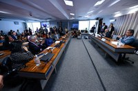 Comissão que investiga situação dos ianomâmis vota plano de trabalho nesta quarta