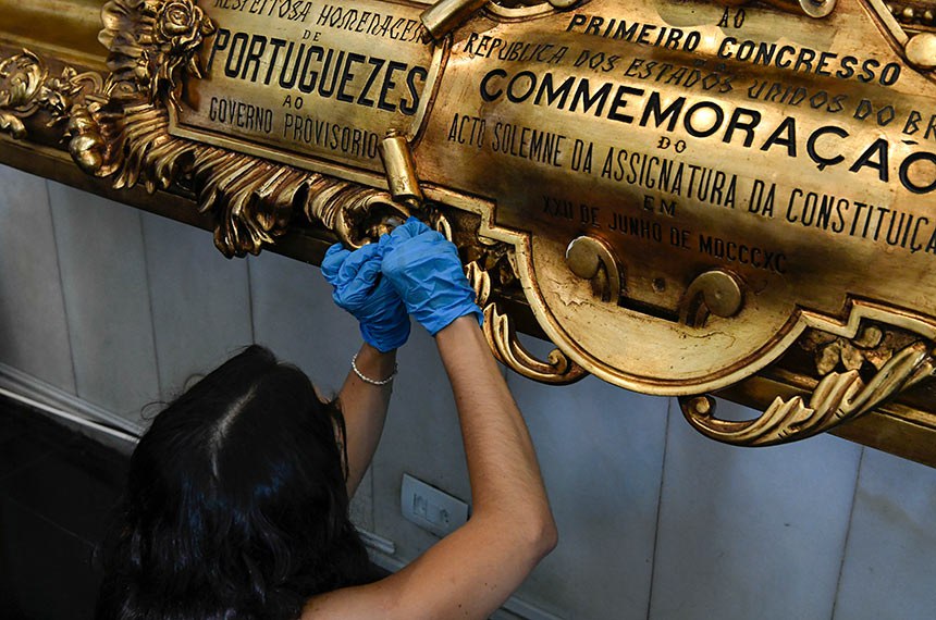 (E/D):
auxiliar parlamentar do Serviço de Conservação e Preservação do Museu (SECPM), Priscila Rocha Gomes De Souza.