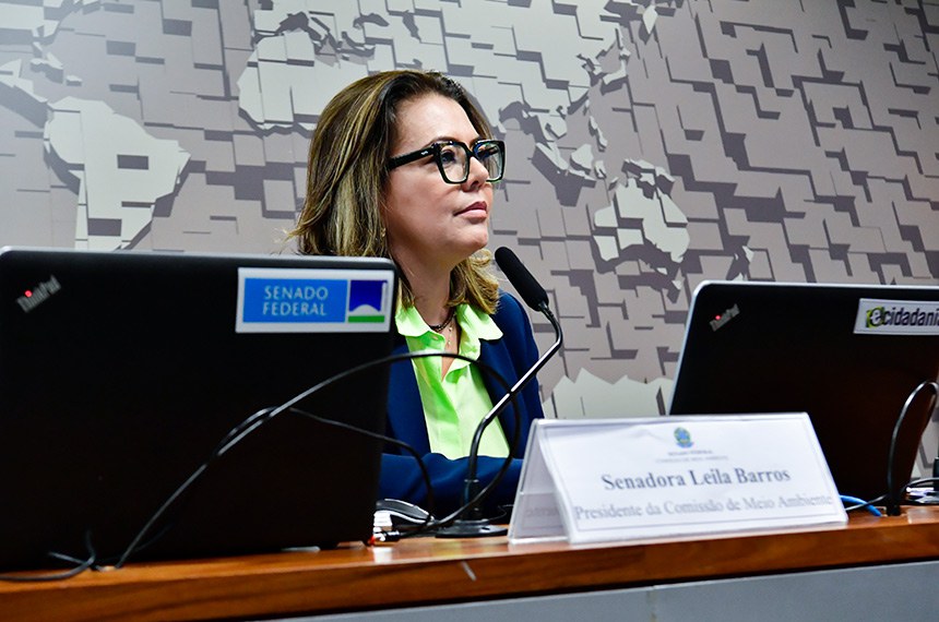 À mesa, presidente da CMA, senadora Leila Barros (PDT-DF).