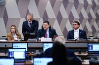 CCJ vai debater em audiência pública alterações ao Estatuto do Desarmamento