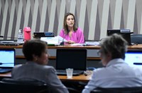 CRA quer ouvir três ministros nas próximas semanas