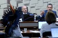 Comissão debate causas e soluções ao garimpo em território ianomâmi