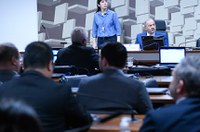 Representantes do garimpo pedem atenção do governo e políticas públicas