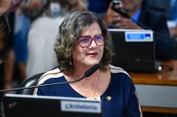 Subcomissão temporária para avaliação do ensino médio será instalada na terça