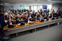 CCJ deve promover audiência sobre mudança na lei de armas e munições