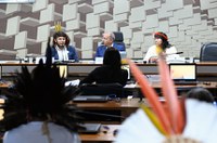 Ianomâmis: governistas pedem presença do Estado e expulsão de garimpeiros