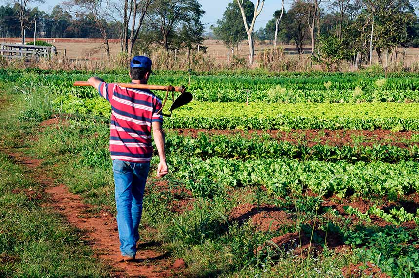 Sancionadas leis relacionadas à agricultura e ao cicloturismo - Agência  ALESC