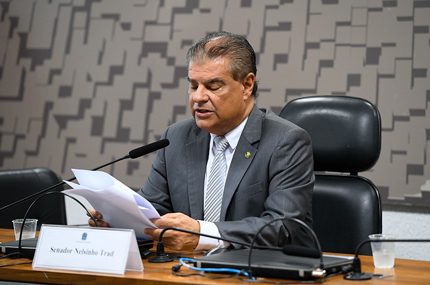 Mesa:
presidente do Grupo Parlamentar de Cooperação Amazônica, senador Nelsinho Trad (PSD-MS).