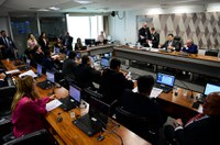 Audiência pública é último passo antes de a CCJ votar projeto sobre armas