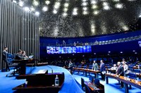 Plenário avalia incentivos a multinacionais brasileiras e à cultura regional