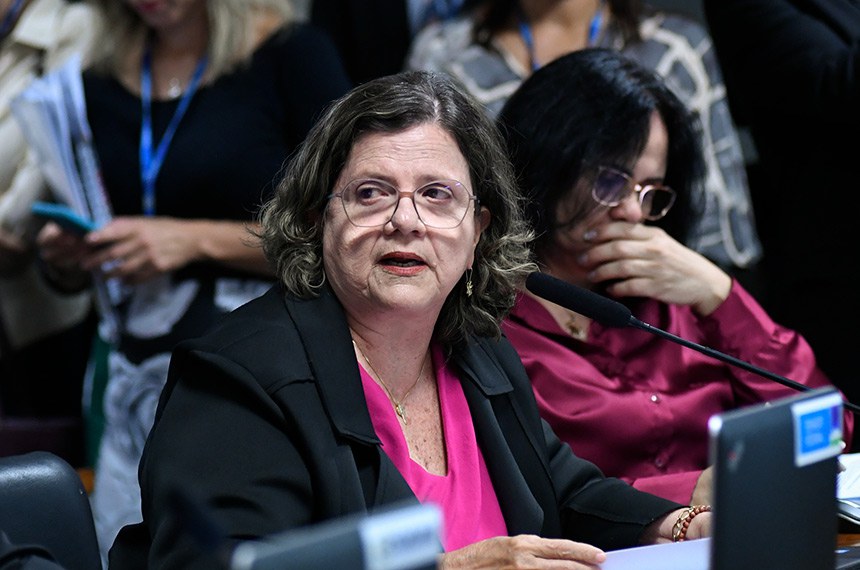 Bancada:
senadora Tereza Cristina (PP-MS); 
senadora Damares Alves (Republicanos-DF).