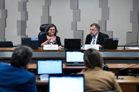 Subcomissão do Ensino Médio vota plano de trabalho