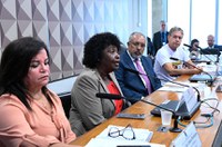 Luta por direitos das domésticas é permanente, dizem debatedores