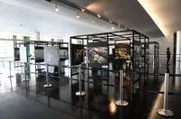 Mostra fotográfica vai lembrar os 100 dias da invasão ao Congresso Nacional