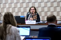 Subcomissão do Senado sobre ensino médio aprova plano de trabalho