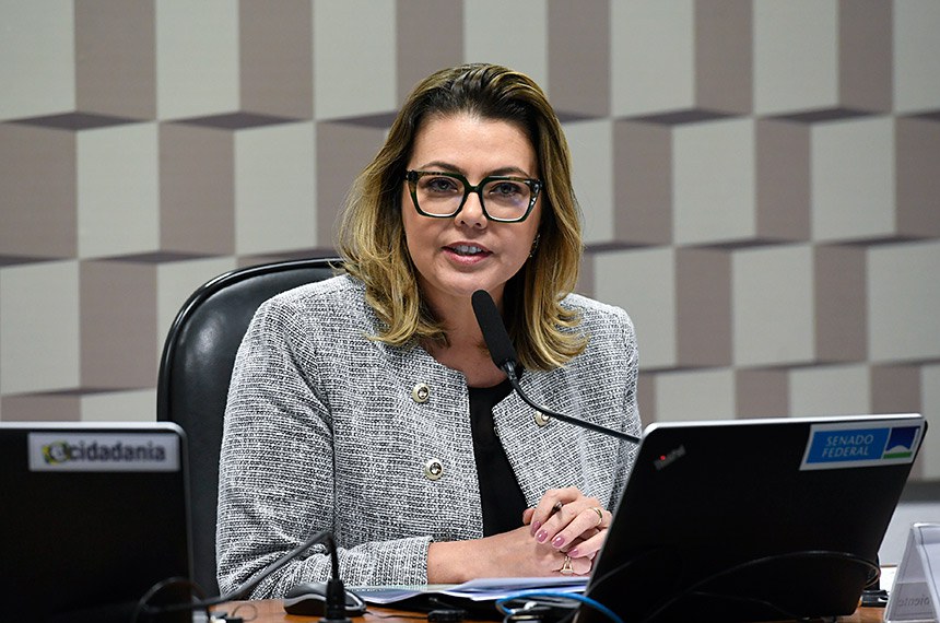 À mesa, presidente da CMA, senadora Leila Barros (PDT-DF) conduz a sessão.