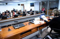 Subcomissão para avaliar ensino médio realiza primeira audiência pública
