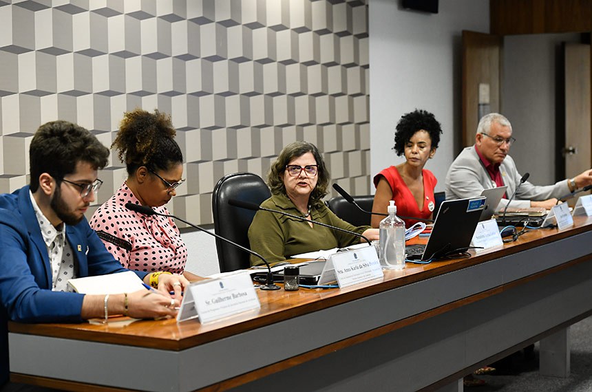 Mesa: 
diretor de Programas e Projetos da Secretaria Nacional de Juventude, Guilherme Barbosa; 
chefe da Assessoria de Participação Social e Diversidade  do Ministério dos Direitos Humanos e da Cidadania, Anna Karla da Silva Pereira; 
presidente eventual da CE, senadora Teresa Leitão (PT-PE); 
secretária de Educação Continuada, Alfabetização, Diversidade e Inclusão do Ministério da Educação, Zara Figueiredo Tripodi; 
coordenador do Fórum Nacional de Educação (FNE), Heleno Manoel Gomes de Araujo Filho.