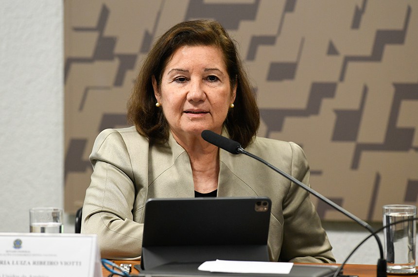 Em pronunciamento à mesa, embaixadora dos Estados Unidos da América, Maria Luiza Ribeiro Viotti.