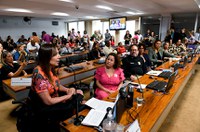 Comissões voltam a debater inclusão de estudantes com deficiência