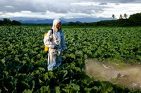 Pulverização de agrotóxicos e violação de direito à saúde serão debatidos na CDH