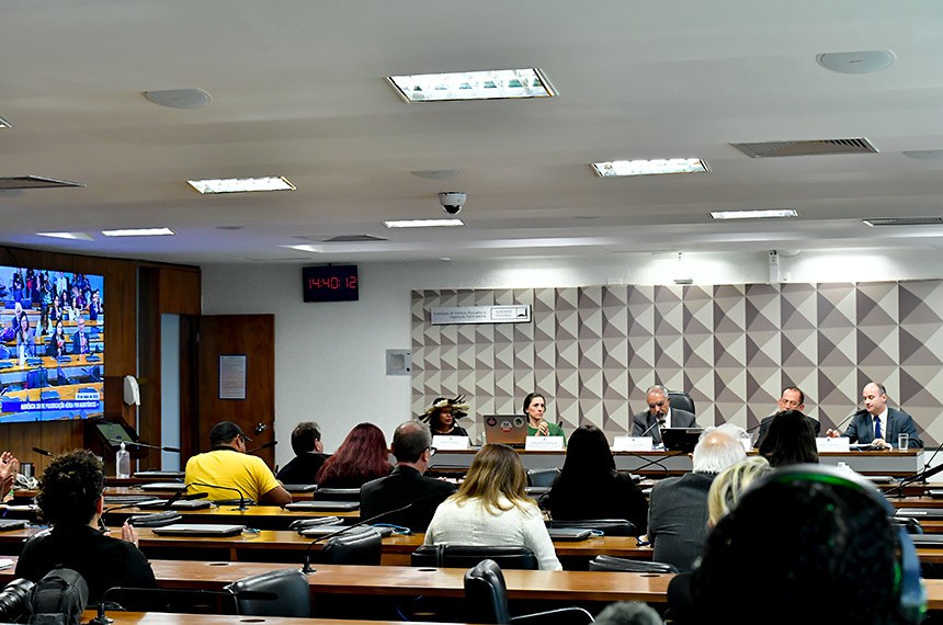 Mesa:
Do povo Guarani Kaiowá, professora e líder da comunidade Guyraroká na TI, Estado do Mato Grosso do Sul, Erileide Domingues;
coordenadora da Campanha de Agricultura do Greenpeace Brasil, Juliana Acosta Santorum;
presidente da CDH, senador Paulo Paim (PT-RS);
subprocurador-geral do Trabalho - coordenador do Fórum Nacional de Combate aos Impactos dos Agrotóxicos e Transgênicos do Ministério Público do Trabalho, Pedro Luiz Gonçalves Serafim da Silva;
representante da Fian Brasil, Adelar Cupsinski.