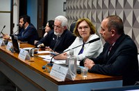 Debatedores sugerem incentivos à permanência de médicos no interior