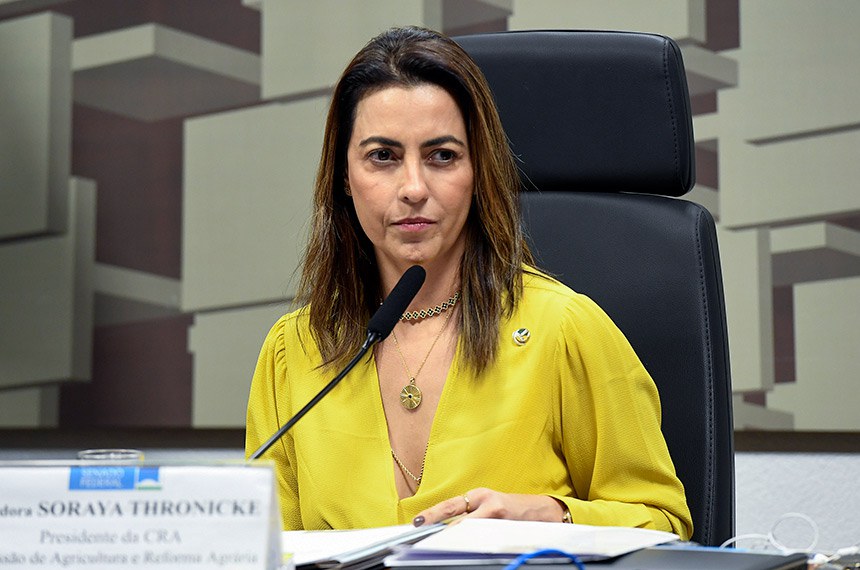 À mesa, em pronunciamento, presidente da CRA, senadora Soraya Thronicke (União-MS).