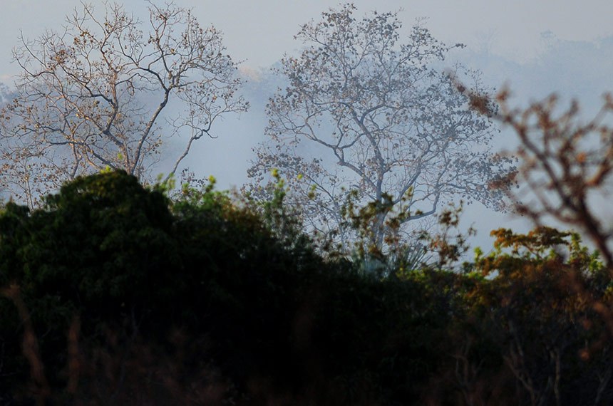 Leia a matéria no site da Agência Brasília:  <a href="https://www.agenciabrasilia.df.gov.br/2017/08/30/com-umidade-do-ar-a-11-defesa-civil-declara-estado-de-emergencia-no-df/" rel="nofollow">www.agenciabrasilia.df.gov.br/2017/08/30/com-umidade-do-a...</a>