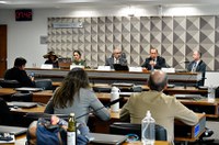 Igualdade salarial entre homens e mulheres será debatida na CDH