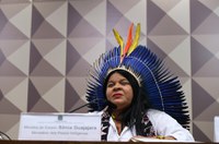 Sônia Guajajara será ouvida pela comissão temporária dos ianomâmi nesta quinta