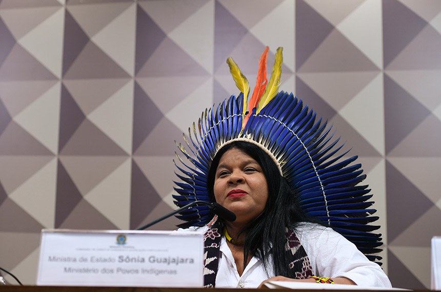 Mesa: 
ministra de Estado dos Povos Indígenas, Sônia Guajajara, em pronunciamento.
