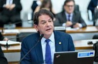 CE cria subcomissão permanente para fiscalizar as políticas de alfabetização