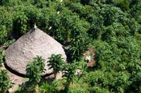 Projeto do marco temporal das terras indígenas chega ao Senado