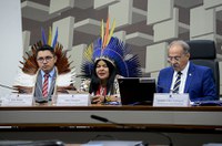 Sonia Guajajara nega ofensa aos roraimenses