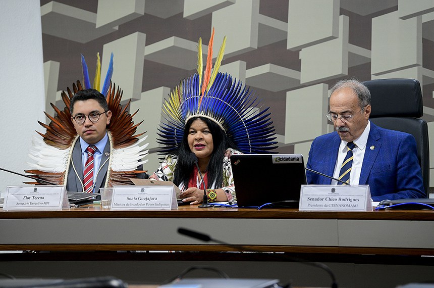 Mesa: 
secretário-executivo do Ministério dos Povos Indígenas (MPI), Eloy Terena; 
ministra de Estado dos Povos Indígenas, Sonia Guajajara; 
presidente da CTEYANOMAMI, senador Chico Rodrigues (PSB-RR). 