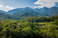 Lei que aumenta prazo para regularização ambiental é sancionada