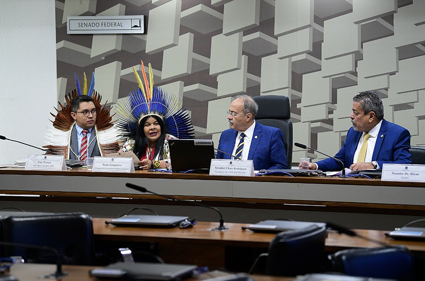 Mesa: 
secretário-executivo do Ministério dos Povos Indígenas (MPI), Eloy Terena; 
ministra de Estado dos Povos Indígenas, Sonia Guajajara; 
presidente da CTEYANOMAMI, senador Chico Rodrigues (PSB-RR); 
relator da CTEYANOMAMI, senador Dr. Hiran (PP-RR).