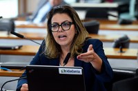 CDH vota delegacia da mulher em cidades com mais de 100 mil habitantes