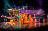 Comissão de Assuntos Econômicos vota isenção de ISS para circos