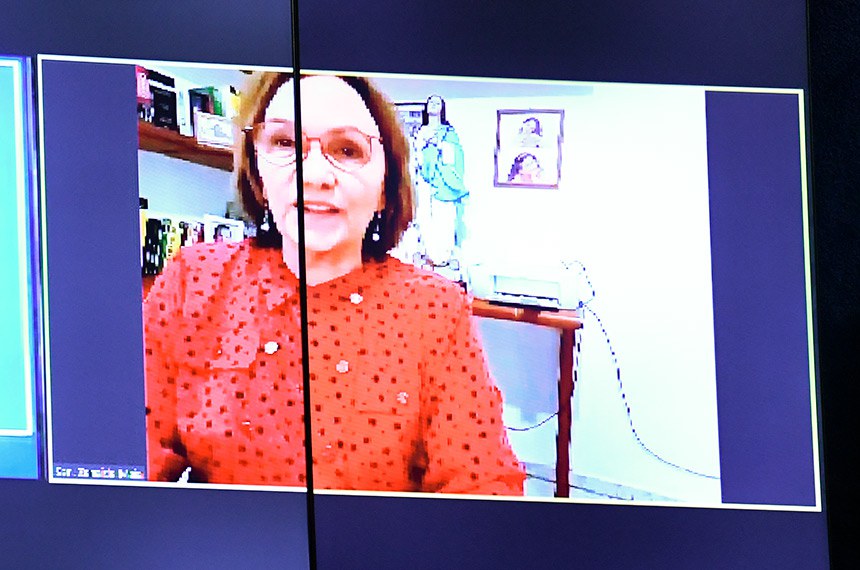 No painel, senadora Zenaide Maia (PSD-RN) em pronunciamento via videoconferência.
