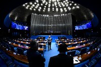 Criação de política nacional de incentivo à produção de mel vai à sanção