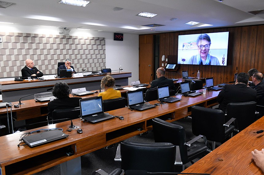 Mesa:
deputado Osmar Terra (MDB-RS);
requerente desta audiência, senador Eduardo Girão (Novo-CE).