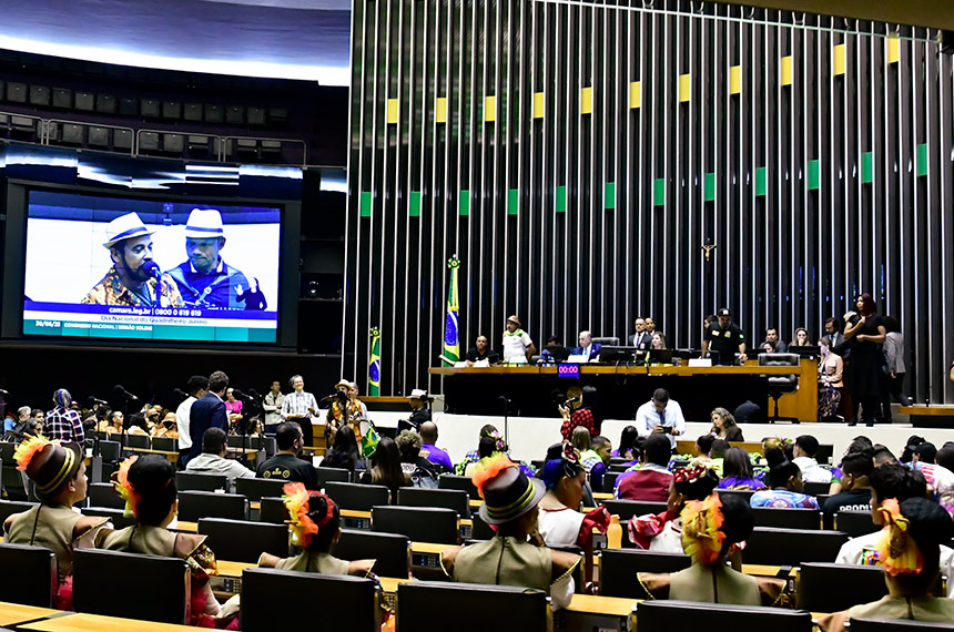 Sessão teve exibição de vídeo em homenagem ao quadrilheiro junino - Foto: Waldemir Barreto/Agência Senado