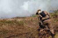 CMA analisa moratória para autorizações de desmatamento do Cerrado