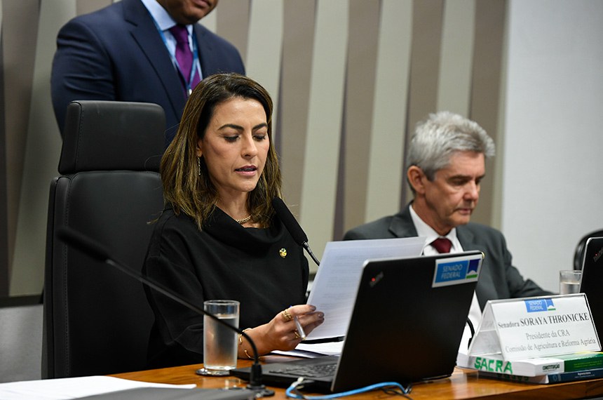 Mesa:
presidente da CRA, senadora Soraya Thronicke (União-MS), conduz reunião;
vice-presidente da CRA, senador Jaime Bagattoli (PL-RO).