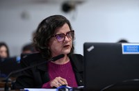 Perda de mercadorias por ordem do Fisco deve se ajustar a regras internacionais, aprova CAE